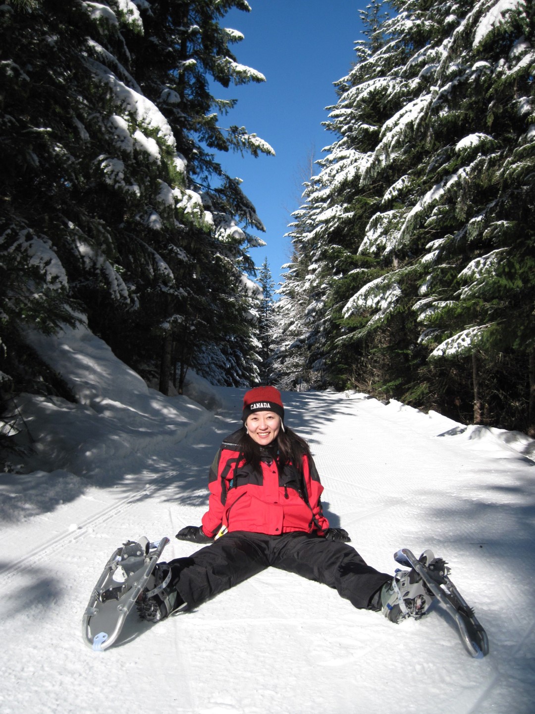 Whistler