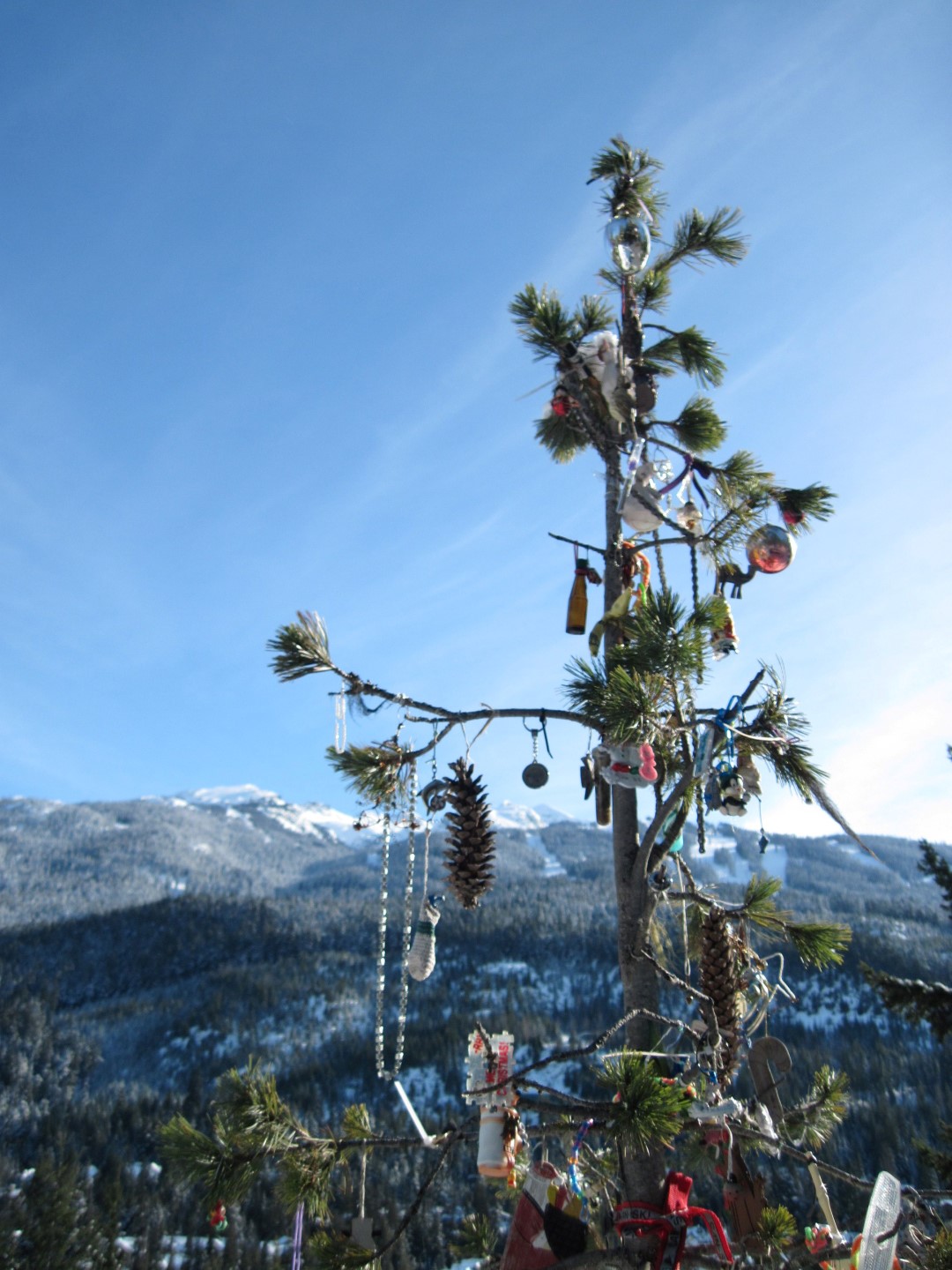 Whistler