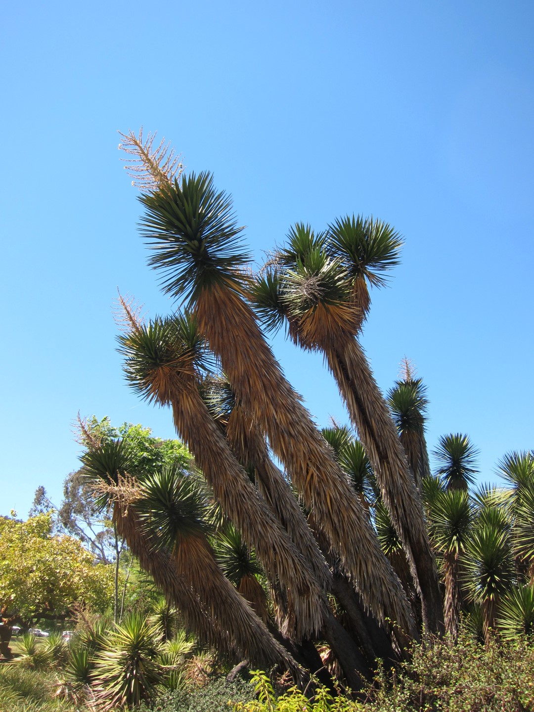 Balboa Park