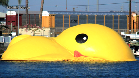 Deflated Duck