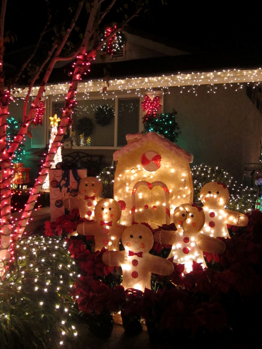 Brea Eagle Hills Christmas Lights