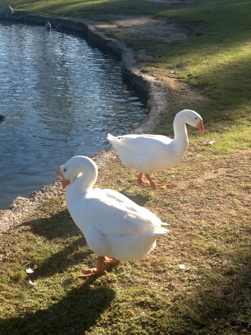 Tri-City Park