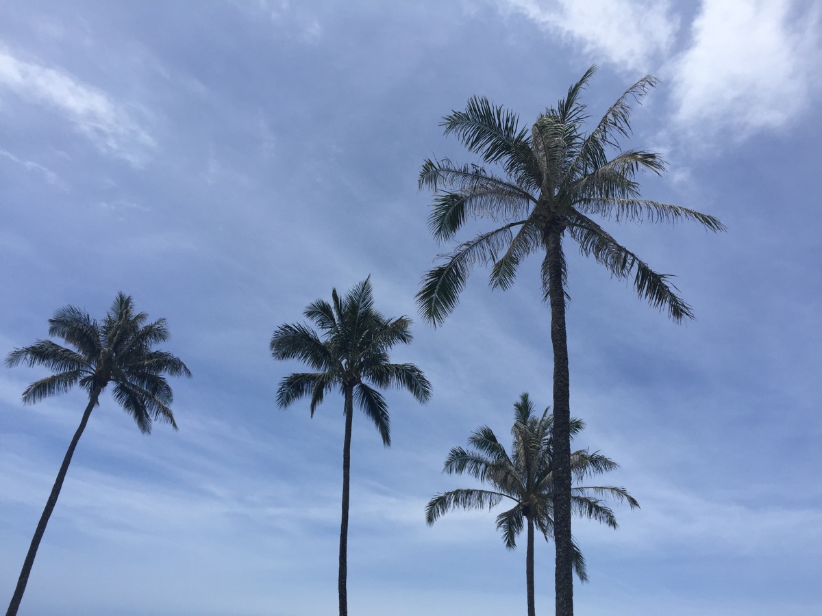 Kapulua Coastal Trail