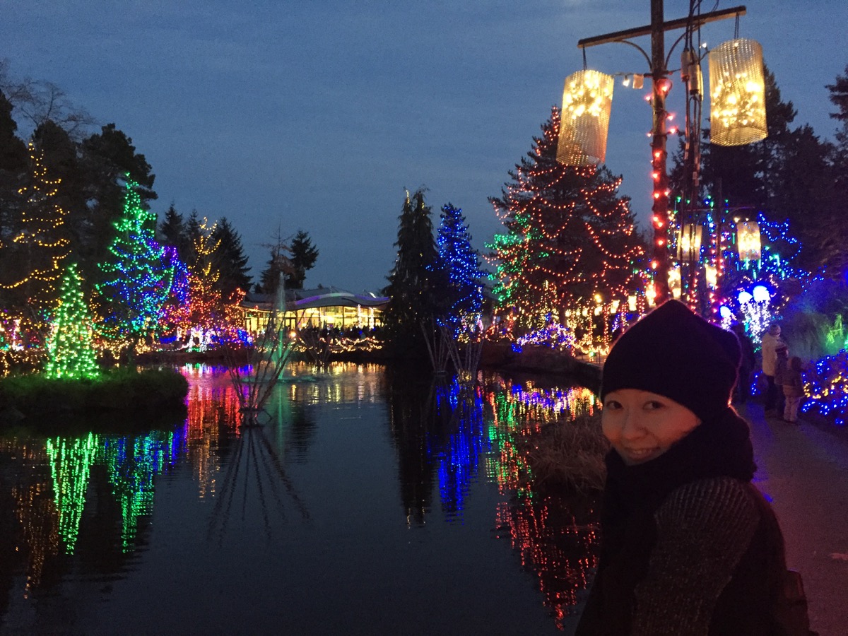 Festival of Lights