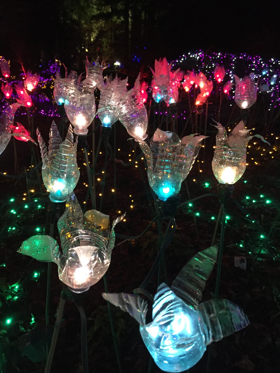 Festival of Lights