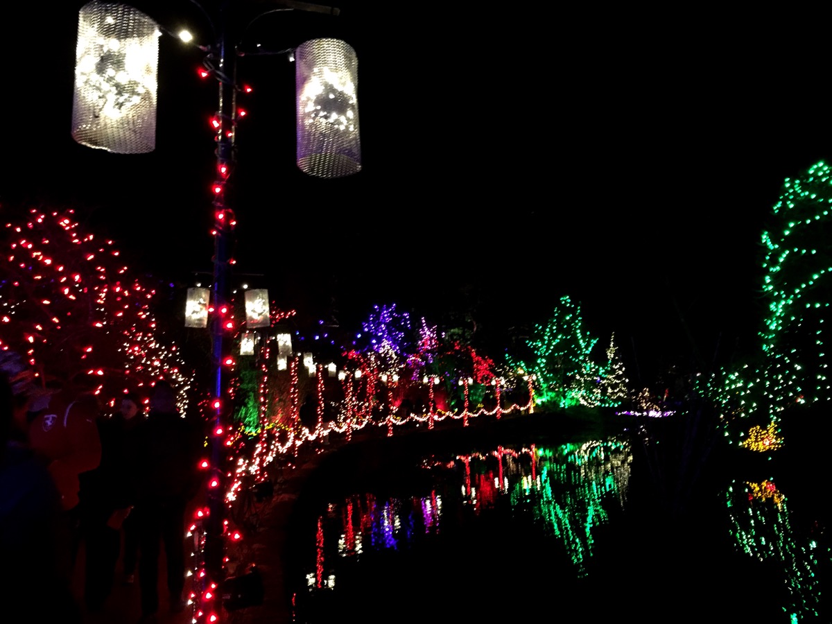 Festival of Lights