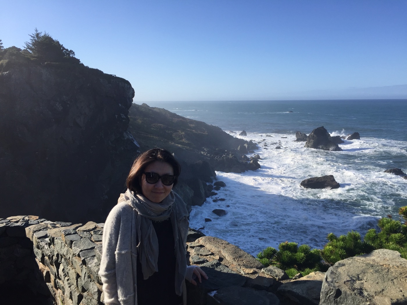 Patrick's Point
