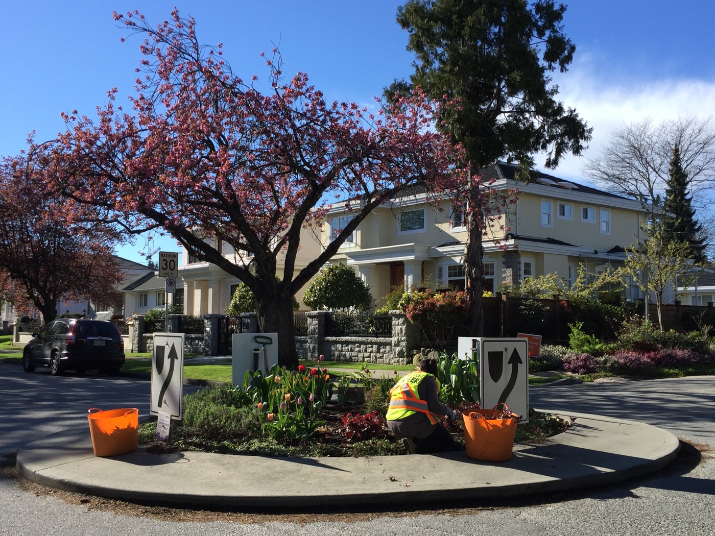 Green Streets gardening