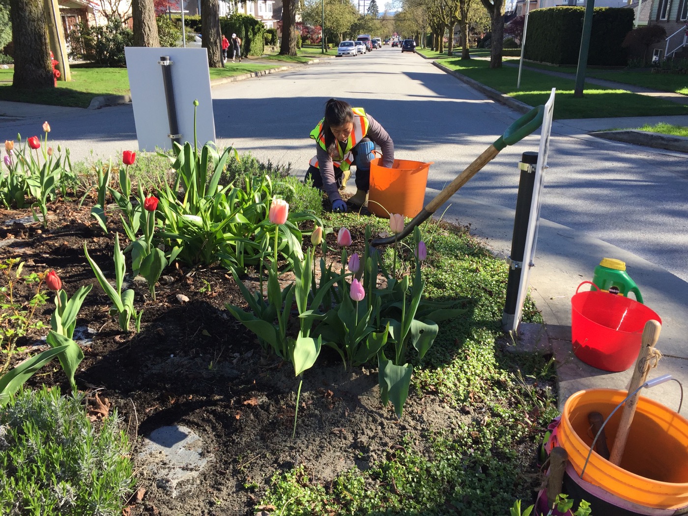 Green Streets gardening