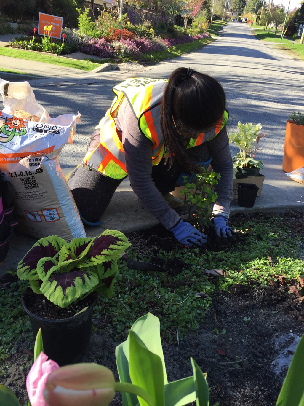 Green Streets gardening