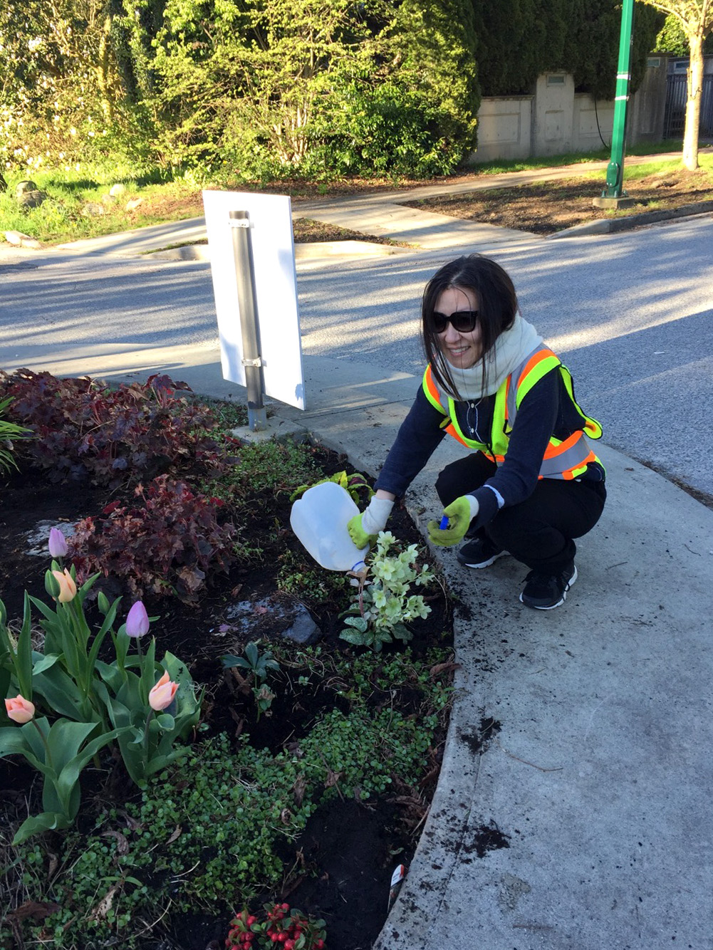 Green Streets gardening