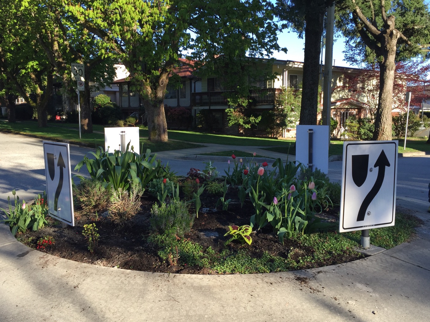 Green Streets gardening