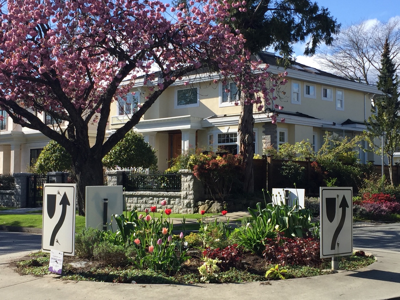 Green Streets gardening