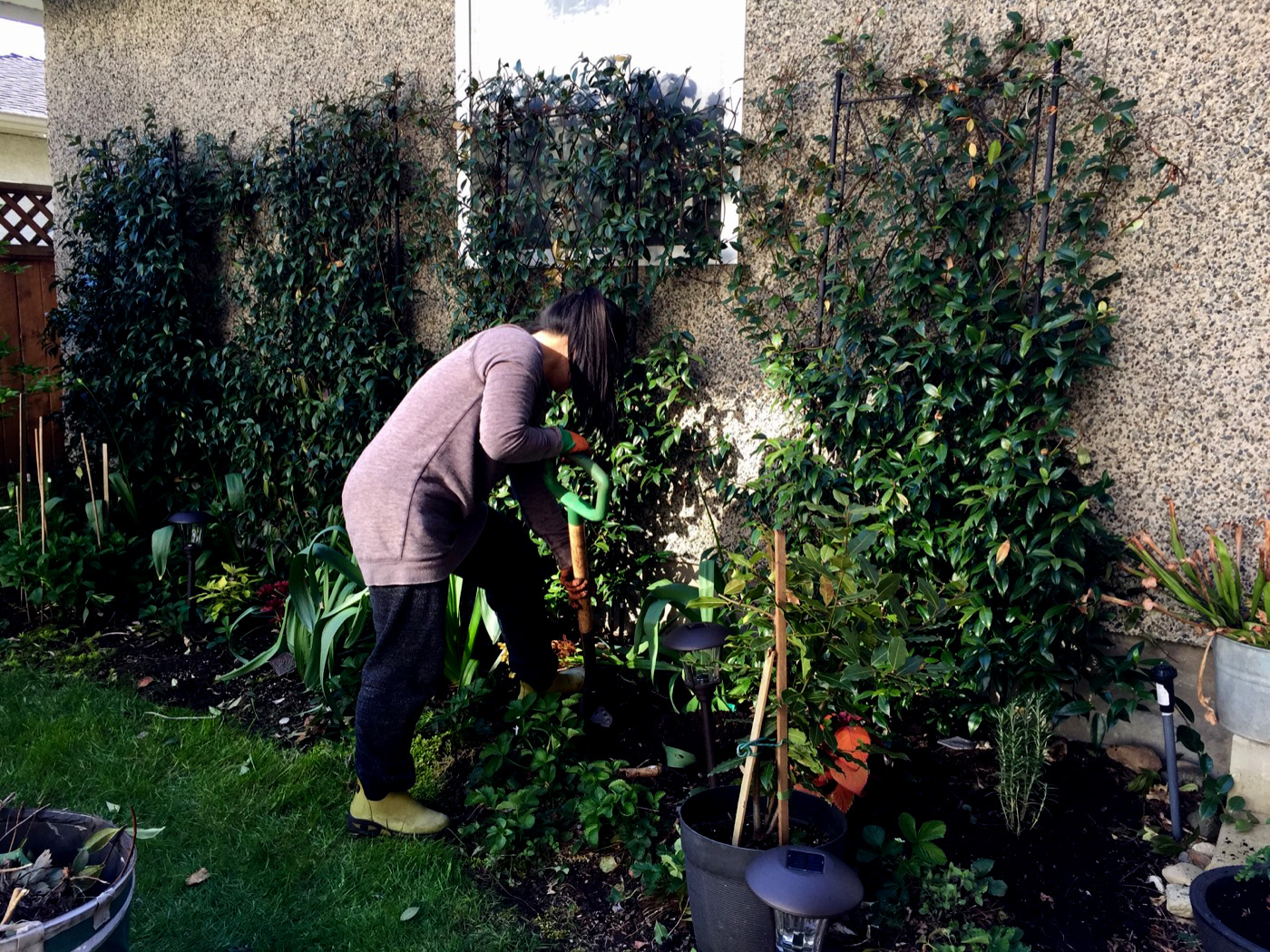 Gardening