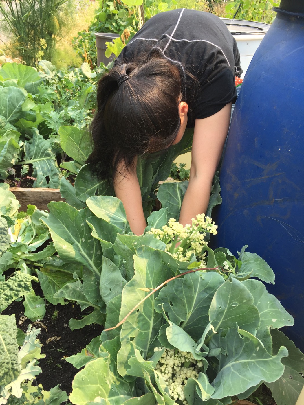 Gardening