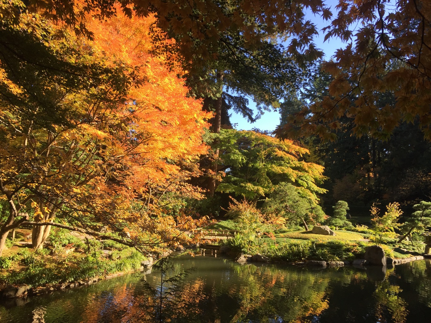 Fall in Vancouver