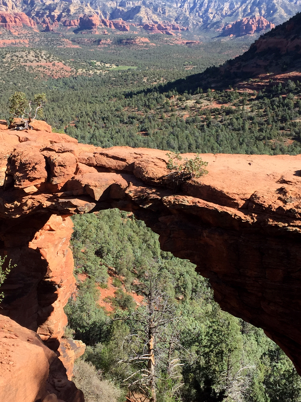 Devil's Bridge 